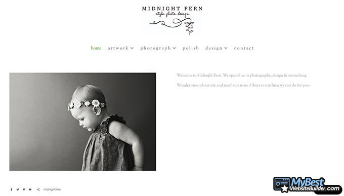 Artist websites: Midnight Fern. Artist websites: Midnight Fern.