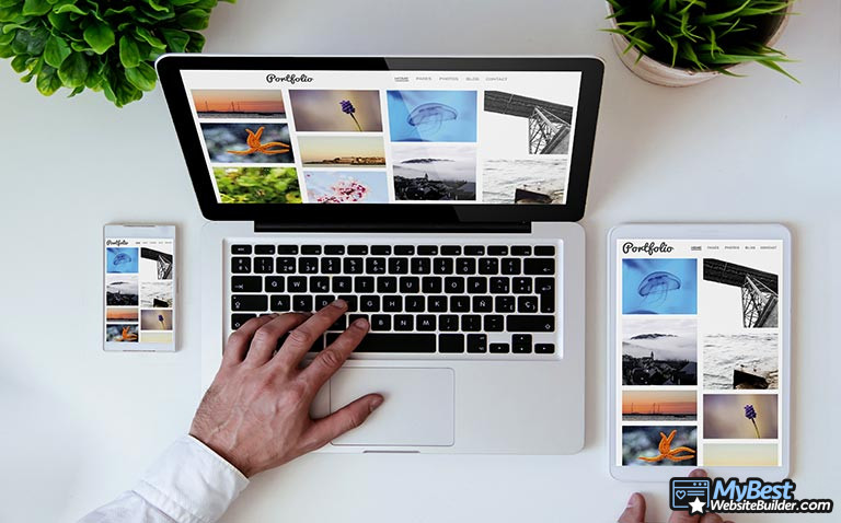 Os melhores sites para revelar fotos na internet
