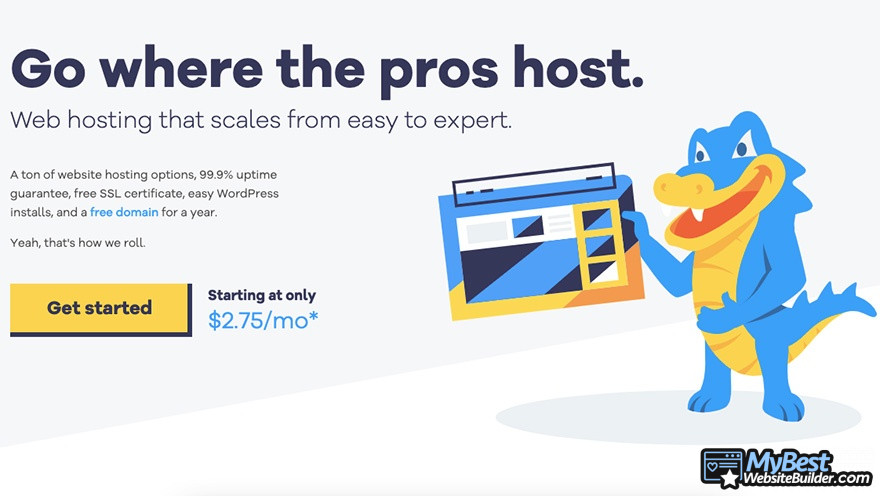 HostGator alternatives: HostGator homepage.