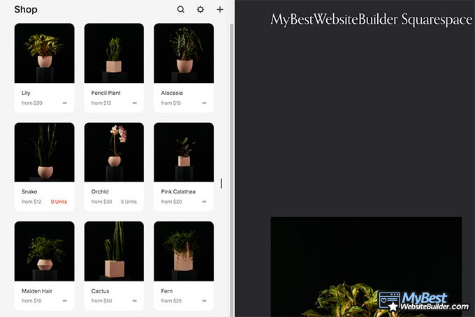 Tutorial Squarespace: eCommerce.