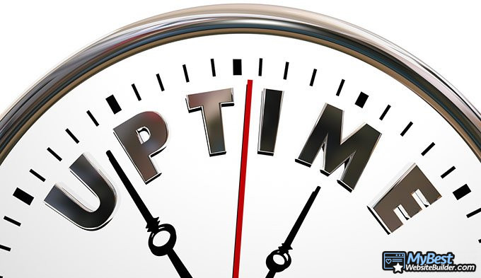 Carrd review: uptime.