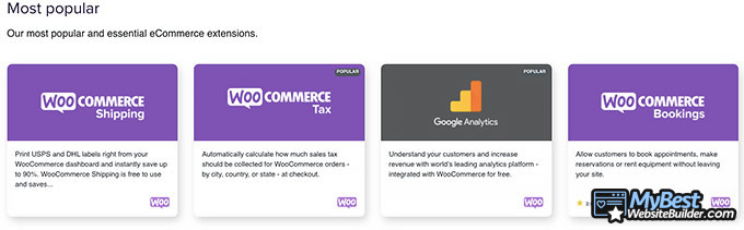 WooCommerce review: extensions.