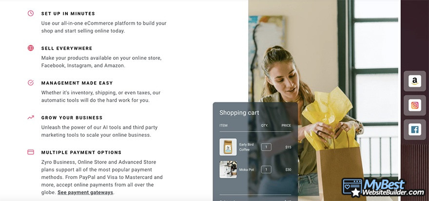 Zyro review: eCommerce and social platform integrations.